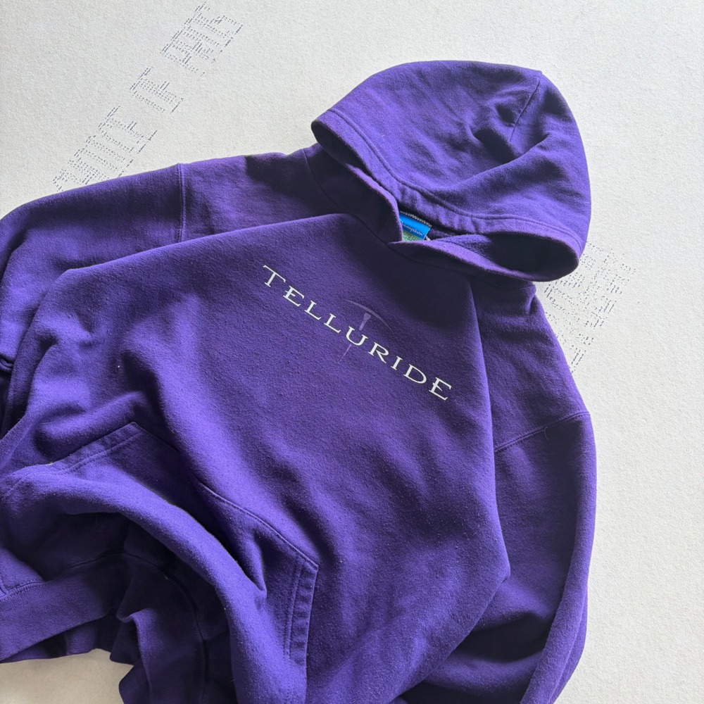 Y2K Champion Telluride Hoodie